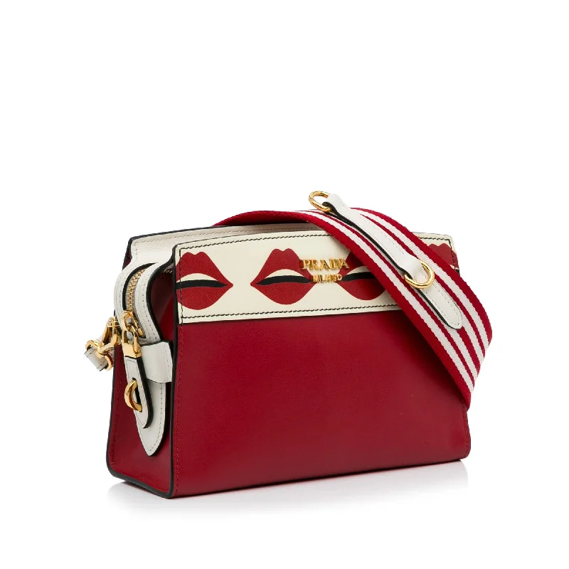 Prada Cleo bags with a curved shape and a chain - link shoulder strapPrada City Calf and Saffiano Lip Print Esplanade swq2sE